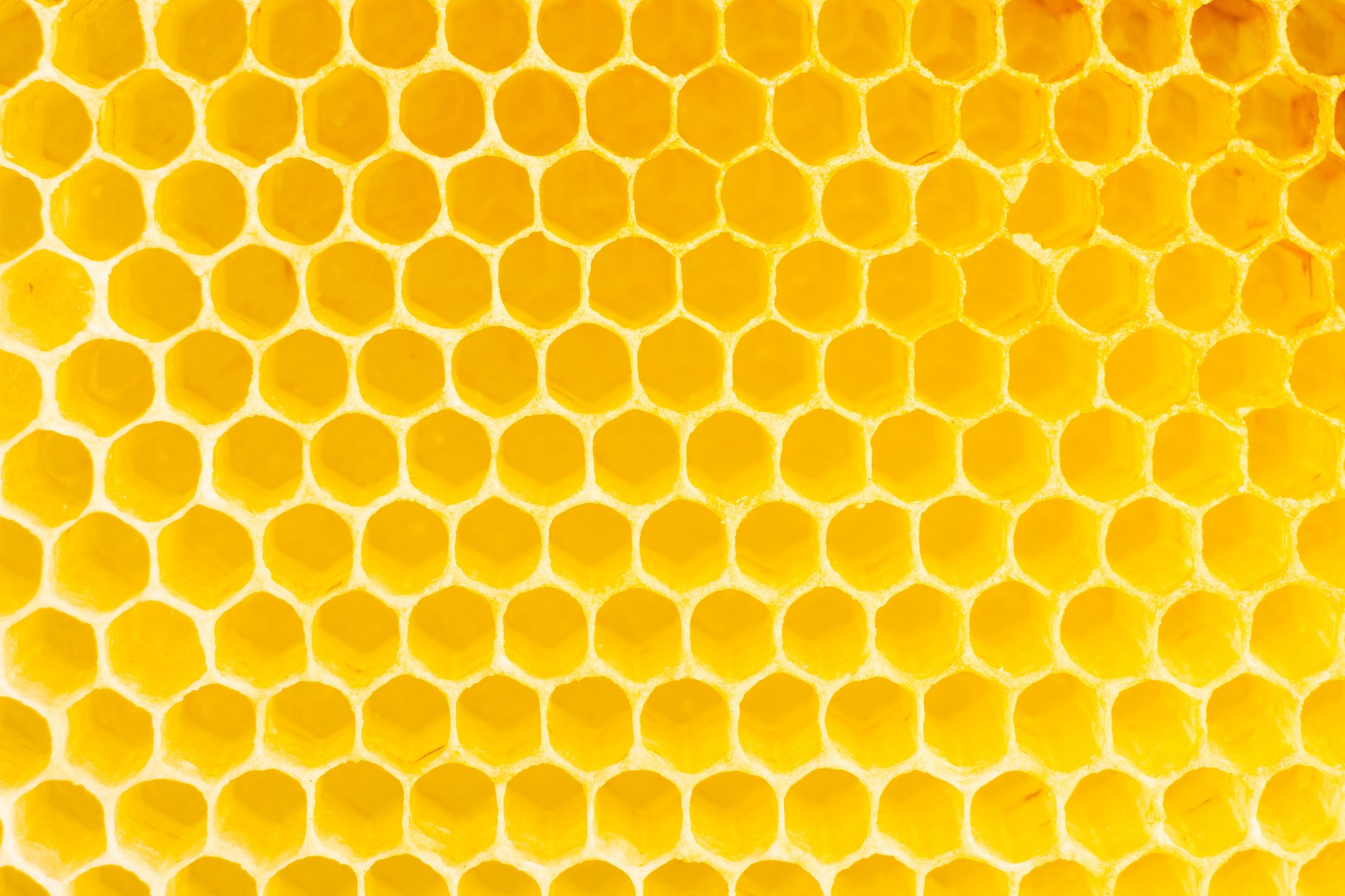 Honeycomb